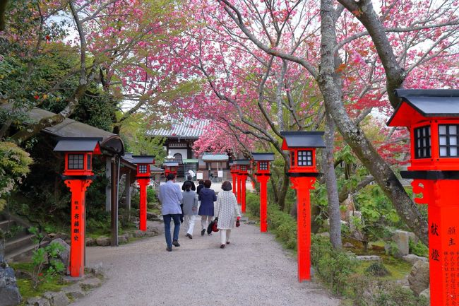 古い町並み巡り(坂本)写真撮ってきました。<br /><br />里坊のまち坂本を歩くと、穴太衆積みの石垣が美しいまちの景観をつくりだしていることに気づきます。穴太の技術者集団は、同じ渡来氏族の縁から、伝教大師・最澄が比叡山に延暦寺を開創するにあたり、比叡山上の堂塔建設に力を貸したと考えられています。彼らは最澄とともに比叡山に登り、開墾のための土木工事を請け負い、比叡山の各種堂塔伽藍の造成、基礎石垣、登山道の土留石垣、水田整備に伴う石垣畦、井戸の構築などを通じて、石積みに特化した石工集団を形成していったのではないかと考えられています。<br /><br />http://zenpakusan.com/nihon3/65/index.html<br />