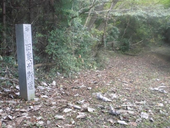 「奥州街道・松前道」紀行の二回目を実施した。<br />夜行バスで古川に着いたのが、11時。遅いスタートで23kmを歩くのだが、北国の日没は早く、「築館宿」の手前で真っ暗に。<br />やっとのことで、旅館に着いたのは良かったと。<br />しかし、その間の栗原市の「奥州街道」は、行政・地元の方たちの熱意で、見事な草道に復元されており、快適な紀行を楽しむことができた。鹿児島から仙台まで歩いた中でも、三本の指に入る位の素晴らしい旧街道だった。<br />舗装道路と違って、草道・地道の歩行は嬉しいものだ。感謝・感謝だ！！<br /><br />　http://ks5224.fc2web.com/sm05hp/sm05-1.html