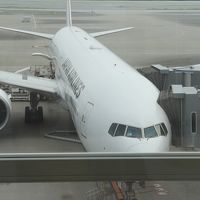 母娘旅★ちょこっとパリ市内＆25thディズニーランド・パリ①JALでパリへ