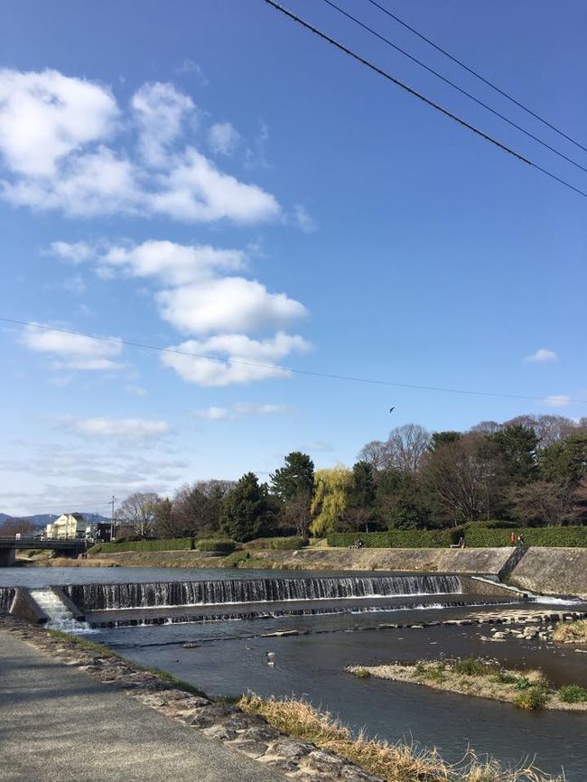 2017年4月1日～4月3日　家族で関西旅行<br /><br />4月1日　京都<br />4月2日　京都<br />4月３日　ＵＳＪ<br /><br />京都→私と娘は市内観光、旦那と息子は鉄道系と別れて行動してました。