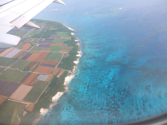 生まれて初めて行く沖縄県は、離島にしました。宮古島。「変わってるねー」と周りに言われたけど、宮古島なら運転できなくてもポタリングで回れそうでしたし、下調べするときに見た島の写真に一目惚れしていました。大晦日に到着し、お正月を島で過ごしました。自宅以外の年越しは（入院した時を除けば）初めてで、それだけでワクワクドキドキでした。そして、また行きたい！と思える島でした。