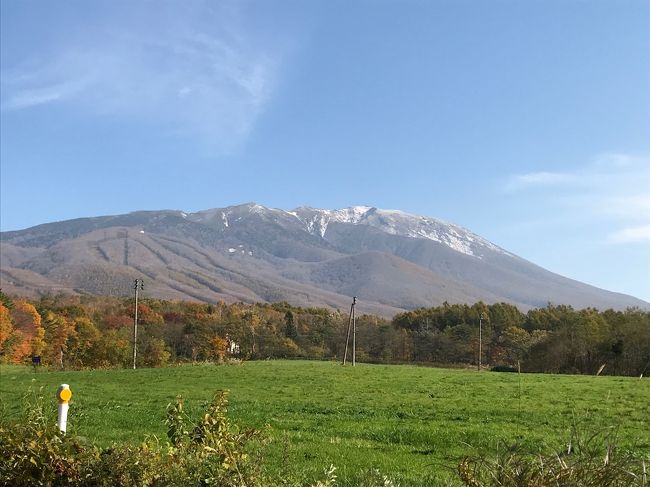 岩手山を望みながら雫石の田園風景とブナ林の間を車で走っていくと、何とも言えない幸せな気持ちが沸き上がって来て、澄み切ったきれいな空気、木々からの風に体が解けていくような気がします。<br />十数年間、毎年のように夏休みには雫石の岩手山の中腹にある網張温泉に行きました。温泉と、部屋からの景色に惹かれて、雫石の魅力に惹かれて、飽きることなく、今年も帰ってこれたなあと思いました。<br />いつか秋に行ってみたいね、という念願がかなって今年は初めて秋に訪れることができました。自宅から車で8時間以上かかるので、もう無理かなあと思い旅行記に残しておくことにしました。
