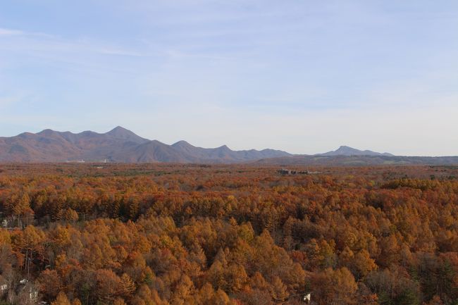 雄大な紅葉が見られるという北軽井沢へ行ってきました。<br />そこは、まるで北海道のような雄大な景色で、以来お気に入りの場所となりました。<br /><br />以下、訪問順です。<br />二度上峠　浅間牧場、鬼押出し浅間園、万山望展望台、軽井沢おもちゃ王国観覧車、つまごいパノラマライン南ルート、田代湖、つまごいパノラマライン北ルート