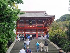 鶴岡八幡宮（大銀杏の倒木前）