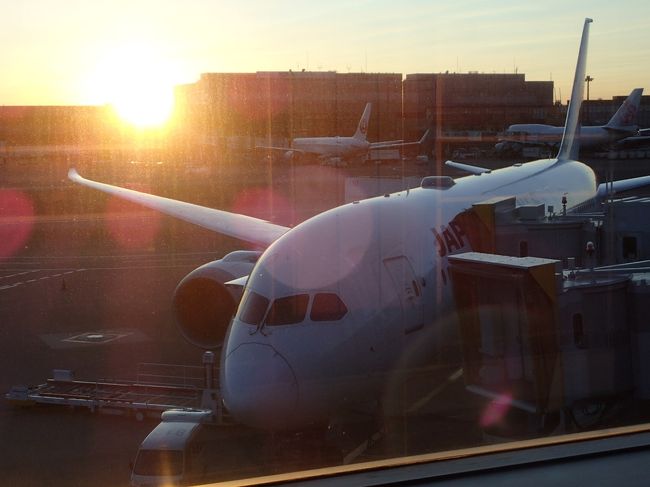 今，成田空港。荷物預け済み，カードラウンジです。あと，2時間くらい，時間潰して、今，成田空港84ゲート。誰もいない。JL809便787ー8機材，WiFi装備だが，SNS送信が出来なかった。JL809便787ー8機材、出発時、成田空港、ドアが閉まってから、２０分待機。１８時３０分に動く。機長のアナウンスあり。１８時発なのに、１８時５０分ごろ離陸。臺灣桃園國際機場に到着が、２１時１４分。予定では、２０時５０分。最近にない遅れでした。常客証で、入國管理は、早いが、荷が遅い。<br /><br />Twitterの記録からコピペしました。<br /><br />今回の目的は、10/25に、B型肝炎ウィルスワクチンの最後の３回目の注射。国際旅展に行けたら、行く。台北榮總醫院へ付き添い。臺灣製ASUSのタブレットのSDカードに記録方法を伝授してもらう。牙(歯)科に牙石整除、保養。11/5に台中での訂婚式出席。11/18台中で、結婚披露宴出席。あとは、買い物少々。11/22朝便にて、日本に帰国。<br />