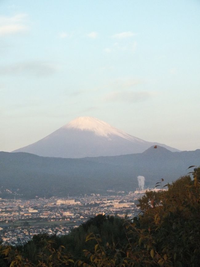 初冠雪のニュースを聞きどんな景色に会えるかと期待し早朝散歩に出かけました。真っ赤な日の出はまずまずでしたが肝心の雪帽子は紅色ではなく殆ど白色残念でしたが、今年初めての富士山らしい富士を見られ満足でした。