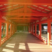 ＊＊消えずの霊火に祈りを込めて・・・厳島神社と弥山散策の旅＊＊