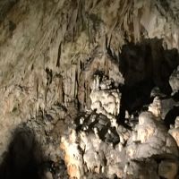 ベオグラードから入るクロアチア・ スロベニア周辺5カ国周遊旅行スロベニア　ポストイナ鍾乳洞編