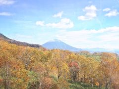 【紅葉ドライブ】赤井川～ニセコ～アンヌプリゴンドラ乗車