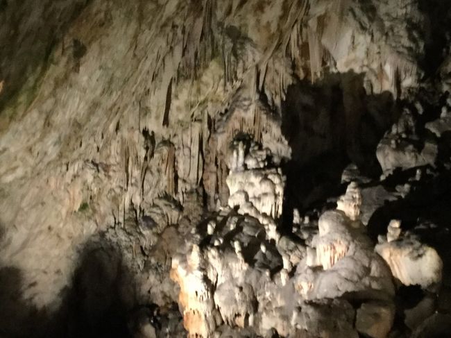 ベオグラードから入るクロアチア・ スロベニア周辺5カ国周遊旅行スロベニア　ポストイナ鍾乳洞編