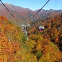 日本の紅葉を巡る旅からー(4)谷川岳ロープウェイ～奈良俣ダム～吹割の滝