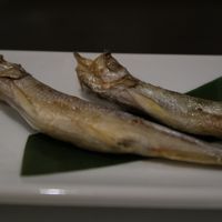 2017年11月  柳葉魚 (ししゃも) を食べに白糠へ！