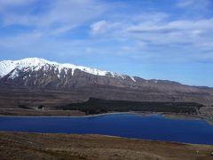 ニュージーランド南島北島スポット旅　海外初ドライブ珍道中　5  テカポ湖