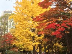 中島公園の紅葉