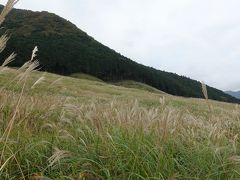 紅葉少し前の箱根と仙石原のススキ