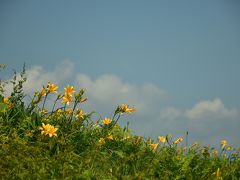 白山周辺ぶらぶら（鳥越城跡、白山高山植物園 編）