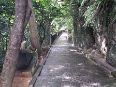 今年6月の阿嘉島に魅了されて再訪の予定がVS台風21号～3日目那覇市内をぷらぷら