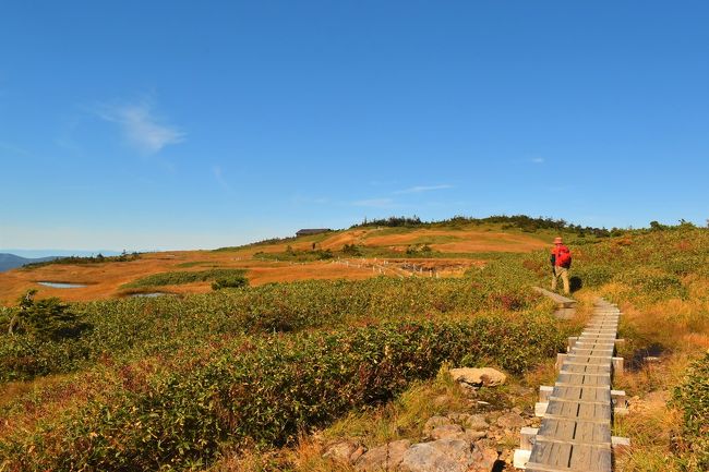 新潟の苗場山へ登ってきました。<br /><br />10月初旬は苗場山が綺麗に紅葉を迎える時期。山頂に広がる大湿原は一面草紅葉となり、錦秋の風景が広がっていました。<br /><br />過去に夏に登りに行ったことはありましたが、秋の苗場山も絶景広がる山でした。<br /><br />▼ブログ<br />http://bluesky.rash.jp/blog/hiking/naebasan2.html