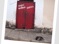 このところ認知度が急激に上昇中、ブラジル北部 水の砂漠：レンソイス・マラニャンセス国立公園を観に行く-【サンルイス・空港とホテル】-#1（サンルイス／マラニャン州／ブラジル）