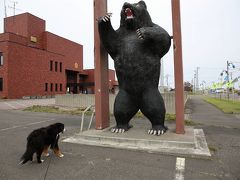 バーニーと行く北海道　７　最終回・面白写真