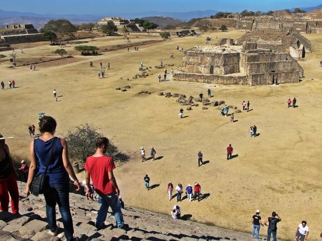 2015年の年末旅はメキシコの遺跡めぐり。<br />この旅ではデカ頭の石像が見つかったオルメカ文明、レリーフの神様が可愛らしいマヤ文明、今も民族の末裔が残るサポテカ文明、絵文字がキュートなミシュテカ文明の地を訪れました。<br /><br />この旅行記の舞台;旅の5日目となるオアハカでは、高台に立つピラミッド群である世界遺産のモンテ・アルバン遺跡を訪れ、紀元前500年頃には始まったサポテカ文明の痕跡を眺め、2000年の時を経た石の声に耳を傾けてきました。<br />そして、夕方のOaxaca町散策では八百屋さんで赤く熟れたトマトを貰って道端で立ち喰いをしたりの街歩きも楽しみました。<br /><br />私はもともとが好奇心の塊で、自分の知らない物事や面白そうな物を見つけるとそちらにフラリと引き寄せられることが多く、オアハカでも私の探究心はアチコチで発動され、色々と楽しかったのですが、この日の私の好奇心はちょっと度が過ぎていたようです。<br /><br />オアハカの街角で私が興味を持ったのは、真赤なドライフルーツの様なモノを山積みにして売っていたおばちゃんのお店。<br />それは、ぱっと見は赤唐辛子を干したものに似ていて、私にはチリ・ペッパーを粉状にする前の物に見えました。<br />私は元来辛い味付けが結構好きで、メキシコ入りしてからも現地の方が使うチリソースを平気な顔をしてサラダなどにかけていたので、粉にする前のチリがあれば買って帰っても良いかな…とも思い、売り子のおばさんに「それは、どの位の辛さなの?」と声をかけました。<br /><br />おばさんは味見用にと商品を一つ爪楊枝に刺し私に差し出し、私もソレを受け取ったのですが、手にして初めて赤いソレが何であるかに気が付きました。<br />爪楊枝の先に串刺しになっていたソイツは、ピリ辛の鷹の爪などではありませんでした。<br /><br />おばさんから爪楊枝を受け取りソイツが何者であるのか気がついた瞬間の私は、きっと目が泳いでいたと思います。<br />それぐらい、手にしたものに衝撃を受けました。<br />でも、受け取ってしまった以上、味見をしない訳にはいきません。<br />こんな時に発揮するのが大和撫子魂。<br />此処で引き下がったら、日本女子の名が廃ります。<br /><br />おばさんから貰ったソレが何であったのか。<br />ソレの写真を旅行記の表紙にしようかとも思いましたが、あまりにインパクトがありすぎてボツにしました。<br /><br />本旅行記の後半にその写真を入れてありますので、この先を読まれる場合は、写真に気を付けて。<br />ソレが夢に出てきたとしても、自己責任でお願い致します。<br /><br />☆★☆★☆旅程 2015/12/25-2016/1/2☆★☆★☆<br />□12/25 成田-バンクーバー-メキシコ・シティ <br />□12/26 ビジャエルモサ、ラベンタ遺跡、パレンケ <br />□12/27 ヤシュチラン遺跡、ボナンパック遺跡 <br />□12/28 パレンケ遺跡、ミソル・ハ、アグア・アスル <br />■12/29 オアハカ モンテアルバン遺跡<br />□12/30 ミトラ遺跡、エルトゥーレ、イエルベ・エル・アグア<br />□12/31 メキシコ・シティ、フリーダ・カーロ博物館、国立人類学博物館<br />□1/1 メキシコ・シティ-バンクーバー-<br />□1/2 -成田<br /><br />☆★☆★☆続・母さんの一人旅 メキシコ編☆★☆★☆<br />・デカ頭に会いに・ラベンタ遺跡 http://4travel.jp/travelogue/11091613<br />・暗闇のラビリンス http://4travel.jp/travelogue/11124868<br />・宇宙人が作った古代都市 http://4travel.jp/travelogue/11202484<br />・お母さんは、にわか解説員 https://4travel.jp/travelogue/11294321<br />・ジャングルで水遊び♪ https://4travel.jp/travelogue/11296494<br />・オアハカの洗礼 https://4travel.jp/travelogue/11297815<br />・時を止めた岩Hierve el Agua http://4travel.jp/travelogue/11311212<br />・フリーダ・カーロの世界 https://4travel.jp/travelogue/11314204<br /><br />☆★☆★2011年 母さんの一人旅・ボリビア編☆★☆★<br />現地で手配!ティワナク遺跡 http://4travel.jp/travelogue/10637661<br />ウユニで人さらい http://4travel.jp/travelogue/10637723<br />チリ国境までの湖巡りドライブ http://4travel.jp/travelogue/10638094<br />ラパス市内観光 http://4travel.jp/travelogue/10638521<br />太陽の島でトレッキング http://4travel.jp/travelogue/10639292<br />Espejo del Cielo http://4travel.jp/travelogue/10648118