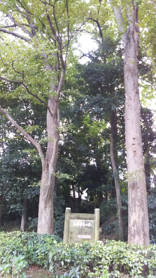弁天の森でお散歩～埼玉県旧大井町に残る歴史が謎すぎる～