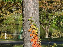 紅葉２　　軽井沢