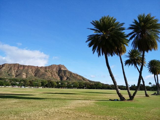 H28 お父ちゃん一人旅inHAWAII（5日目　夕方はカピオラニ公園を散歩）