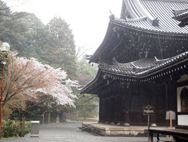 春の京都ひとり旅【11】四日目・泉涌寺七福神めぐり、今熊野観音寺、来迎院、善能寺、雨の泉涌寺