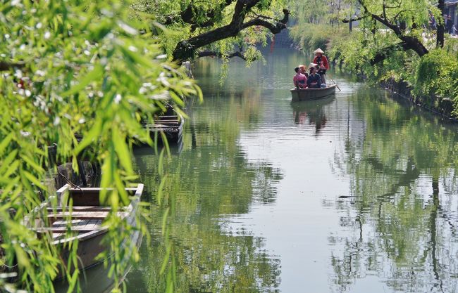 月に2~3回ほど不定期で通っているパソコン教室からの案内を受けて親睦旅行に行ってきました。<br /><br />コースはRSKバラ園、倉敷国際ホテルでランチ、倉敷美観地区の散策、三井アウトレットパークでお買い物、最後に岡山ワイナリーにて見学・買い物です。<br /><br />RSKバラ園は随分前に一度だけ行ったことがありました。<br /><br />その時に秋篠宮と紀子さまの第一子の眞子さまの御印だと言われて買った「モッコウバラ」は今でも毎年綺麗に咲いて楽しませてもらっています。<br /><br />秋バラはあまり期待していなかったのですが、たくさん咲いていて楽しめました。<br /><br />倉敷美観地区も久しぶり、平日でもあったので観光客も多くなくゆっくり散策できました。