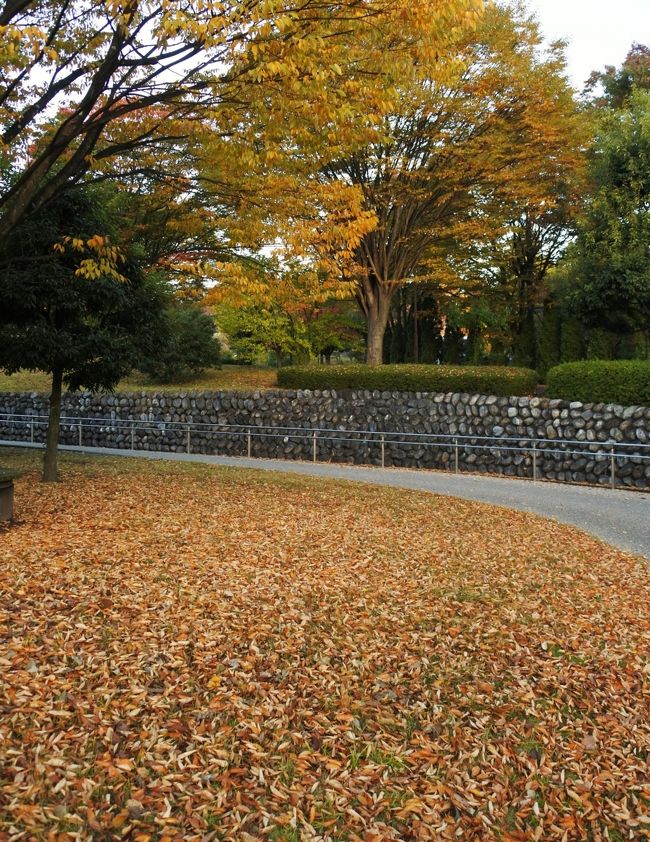 早朝の笛吹川フルーツ公園を散歩♪