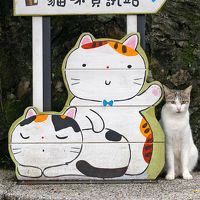 猫村の猴&#30800;（ホウトン）・台北5日間   事前準備・第一日目（忠烈祠・士林夜市）