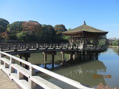 正倉院展からの奈良公園ひとめぐり