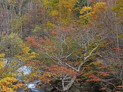 好天に恵まれた紅葉巡り＆温泉（１）－奈良俣ダム・照葉峡ー