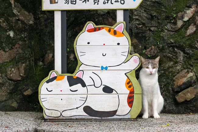 世界6大猫スポットの一つ猴?（ホウトン）に行くため、台北旅行を計画しました。<br />最近は猫がらみの旅行が続いています。娘夫婦との４人での旅行です。<br />台北には40年ほど前に行ったことはあるのですが、記憶にあるのは太魯閣渓谷と中正紀念堂ぐらいなので今回が初めてのようなものです。<br />国際旅行社で飛行機とホテルを予約し、5日間のフリーの旅行なので事前の下調べを十分にしてから出発しました。<br />