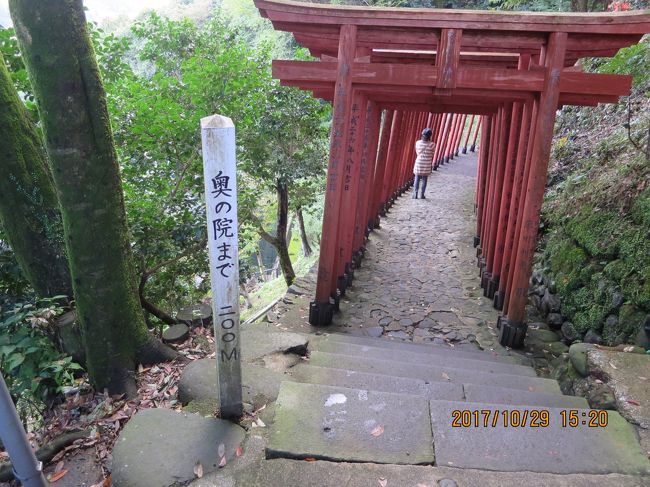 女房と３０数年ぶりに祐徳稲荷神社へ行ってみた。<br />この祐徳稲荷神社は、伏見稲荷大社、笠間稲荷神社とともに日本三大稲荷の一つに数えられます。<br />お正月などのイベント時期は、ラッシュアワー並の混雑に見舞われますが、今はシーズンではないので、さほど人も多くなくゆっくり見られました。<br />楼門前の神池には鯉が泳いでいて、外国の方が喜んでいました！！<br />境内に入り御神楽殿に参拝して、本殿へ続く階段を歩いて行きます・・・<br />本殿では、七五三と思われる神事が執り行われていました！！<br />本殿を横目に見て、その裏手から奥の院まで行ってみました。<br />奥の院まで３００ｍと書いてありましたが・・・<br />丸石の階段があったりして歩きにくく、子供を抱っこして上がっていくのはまず無理！<br />本殿から３００メートルも上がっていきますので、足腰が強くないと大変です！<br />２０分ほど掛かって奥の院へ・・・<br />空気が冷たく新鮮で、生き返った心地がしました！！