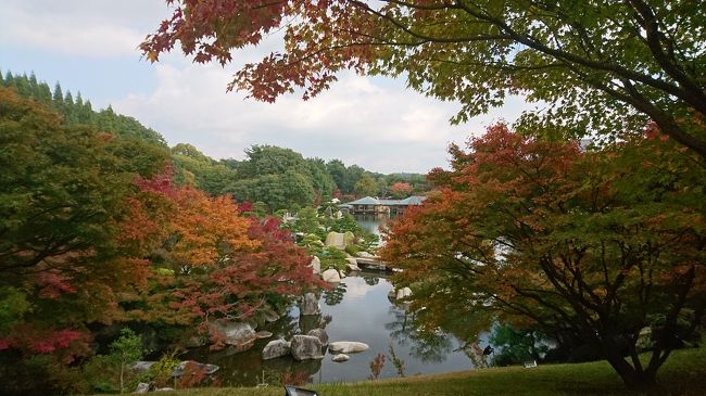 広島県の紅葉を楽しんできました。<br /><br />沸通寺→道の駅よがんす白竜(ランチ)→三景園<br /><br />天気も良く、楽しめました☆