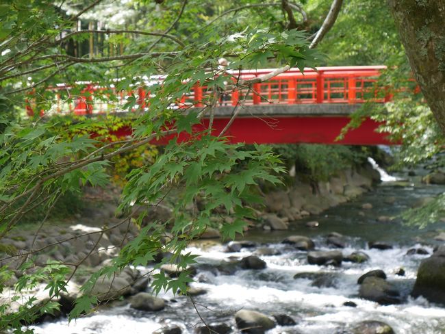 修善寺旅行1日目。<br />温泉郷を散策します。<br />美味しいあじ寿司に、あんみつ。お寺に、山登り。