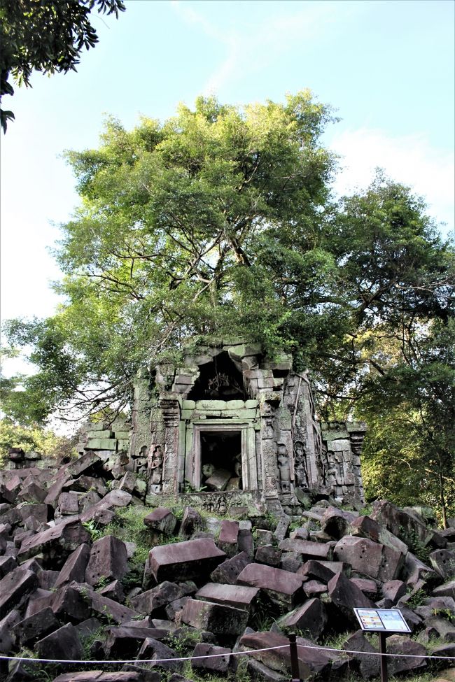 悠久の歴史～インドシナの遺跡・世界遺産を訪ねる旅　その⑮　７日目その３：廃墟と化した寺院ベンメリアへ！