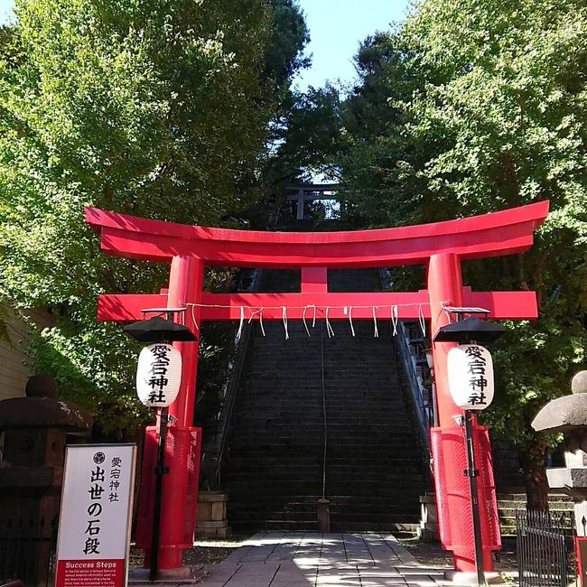 愛宕神社で出世の石段の～ぼる