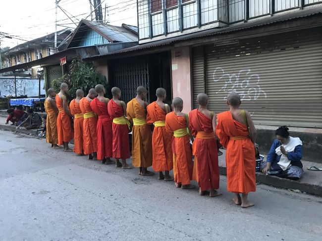 Luang Prabang といえば、托鉢！<br /><br />朝の６時前は、この時期まだ暗く、僧侶の皆さんの動きも意外と早くて撮影困難…