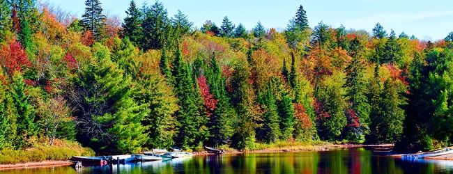 アルゴンキン州立公園周辺 旅行 クチコミガイド フォートラベル カナダ Algonquin Provincial Park