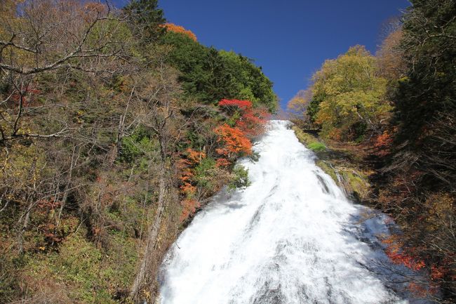 友達と奥日光へ紅葉狩りに行ってきました。<br /><br />1日目<br />湯滝-->湯ノ湖-->菖蒲が浜-->華厳の滝-->輪王寺逍遥園へ<br /><br />2日目<br />神橋-->輪王寺逍遥園-->東照宮-->田母沢御用邸