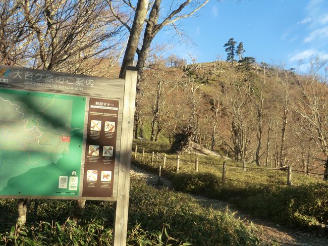 紅葉を探して大台ケ原へ<br />日出ヶ岳からは富士山は見えるが紅葉は見つけられない<br />小処温泉近くまで降りると色づいていた。<br />大峰山側の色づきが良いので行者還の林道まで行ってみた