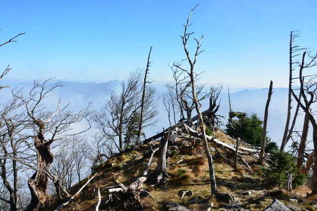 こないだは東北の山だったので今度は西に行きたいなーと思い、前から行きたかった奈良県の百名山である大峰山(八経ヶ岳)を登ってきました。<br /><br />夜は本場の松坂牛を喰らい、翌日の帰りには富士宮やきそばを食べ、結果山歩きよりグルメな印象が強く残った山旅でした。<br /><br /><br />【コースタイム】<br />6:30行者還トンネル西口⇒9:12弥山小屋9:20⇒9:48八経ヶ岳山頂10:00⇒10:24弥山小屋11:03⇒13:13行者還トンネル西口<br /><br /><br />ちなみに過去の4トラ山行記録は<br />2017　岩手山<br />https://4travel.jp/travelogue/11293301<br />2017　八幡平<br />https://4travel.jp/travelogue/11293265<br />2017　甲斐駒ヶ岳<br />https://4travel.jp/travelogue/11288295<br />2017　燧ヶ岳<br />https://4travel.jp/travelogue/11282635<br />2017　苗場山<br />http://4travel.jp/travelogue/11259329<br />2017　荒島岳<br />http://4travel.jp/travelogue/11251619<br />2017　皇海山<br />http://4travel.jp/travelogue/11249987<br />2017　甲武信ヶ岳<br />http://4travel.jp/travelogue/11247476<br />2017　八丈富士<br />http://4travel.jp/travelogue/11245295<br />2017　山梨・竜ヶ岳<br />http://4travel.jp/travelogue/11239303<br />2017　唐松岳【残雪期】<br />http://4travel.jp/travelogue/11235118<br />2017　谷川岳【冬期】<br />http://4travel.jp/travelogue/11226394<br />2017　黒斑山【冬期】<br />http://4travel.jp/travelogue/11219079<br />2017　東天狗岳【冬期】<br />http://4travel.jp/travelogue/11210055<br />2016　岩木山＆八甲田山<br />http://4travel.jp/travelogue/11178740<br />2016　草津白根山(本白根山)<br />http://4travel.jp/travelogue/11177166<br />2016　四阿山<br />http://4travel.jp/travelogue/11177148<br />2016　立山<br />http://4travel.jp/travelogue/11175831<br />2016　久住山(九重)<br />http://4travel.jp/travelogue/11173480<br />2016　白馬縦走<br />http://4travel.jp/travelogue/11168481<br />2016　月山<br />http://4travel.jp/travelogue/11166353<br />2016　鳥海山<br />http://4travel.jp/travelogue/11166042<br />2016　焼岳<br />http://4travel.jp/travelogue/11162234<br />2016　伊吹山<br />http://4travel.jp/travelogue/11155663<br />2016　仙丈ヶ岳<br />http://4travel.jp/travelogue/11154161<br />2016　日光白根山<br />http://4travel.jp/travelogue/11149564<br />2016　会津磐梯山<br />http://4travel.jp/travelogue/11138374<br />2016　雲取山<br />http://4travel.jp/travelogue/11137431<br />2016　上高地<br />http://4travel.jp/travelogue/11128205<br />2016　浅間・黒斑山【冬期】<br />http://4travel.jp/travelogue/11111982<br />2016　上州武尊山【冬期】<br />http://4travel.jp/travelogue/11109580<br />2016　霧ヶ峰(車山)＆北横岳【冬期】<br />http://4travel.jp/travelogue/11095764<br />2016　赤城山【冬期】<br />http://4travel.jp/travelogue/11090094<br />2015　丹沢山<br />http://4travel.jp/travelogue/11073135<br />2015　安達太良山<br />http://4travel.jp/travelogue/11063139<br />2015　羅臼岳<br />http://4travel.jp/travelogue/11053099<br />2015　蓼科山<br />http://4travel.jp/travelogue/11040504<br />2014　恵那山<br />http://4travel.jp/travelogue/10947207<br />2014　日光男体山<br />http://4travel.jp/travelogue/10930229<br />2013　富士山<br />http://4travel.jp/travelogue/10804910<br />2013　至仏山<br />http://4travel.jp/travelogue/10802623<br />2013　木曽駒ヶ岳<br />http://4travel.jp/travelogue/10791223<br />2013　瑞牆山<br />http://4travel.jp/travelogue/10779780<br />2013　天城山<br />http://4travel.jp/travelogue/10772754<br />2012　両神山<br />http://4travel.jp/travelogue/10725958<br />2012　金峰山<br />http://4travel.jp/travelogue/10704122<br />2011　八ヶ岳･赤岳<br />http://4travel.jp/travelogue/10624791<br />2011　大菩薩嶺<br />http://4travel.jp/travelogue/10621875