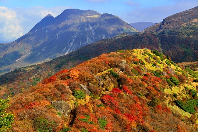  連休の前日、九重の紅葉状況を見に行ってきました。