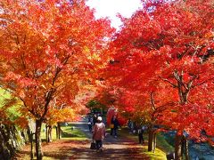 兵庫県で一足早く紅葉見学に出かけてきました