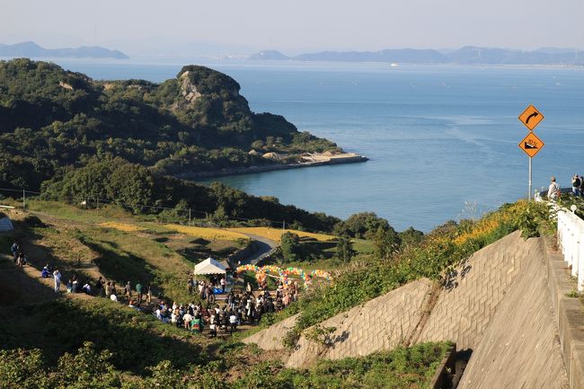 瀬戸内の小島、豊島の唐櫃岡地区の棚田で開催された秋の収穫祭を訪れ、島の爽やかな一日を楽しんできました。<br />豊島は、この島をぐるりと囲む瀬戸内の豊かな漁場はもとより、島の中央部にそびえる檀山がもたらす湧き水によって、平地が少ないにも関わらず農作物も豊かに実ります。更に良質の石材が産出されるなど、豊かな自然の恵みに育まれ、古来より読んで字のごとく豊かな島なのです。<br />そんな豊島も、近代では過疎化が進むなどして、古より伝承されてきた棚田も長らく放置された期間が続きました。また、大規模な産業廃棄物の不法投棄もあり、これによって豊島に対する負のイメージが決定づけられることになりました。しかし、瀬戸内国際芸術祭が開催されたことによって、豊島に対する見方も大きく方向転換することとなりました。アートの島としての知名度も飛躍的に高まっていきました。これによって、島を訪れる人々が増え、島の人びとの意識もだんだんと積極的な心意気が満ちてきたのでしょうか。また何よりも島の若いの人たちの意識も大きく変わりつつあるような気がします。今は棚田も見事に復活し、豊かな恵みが再び島の人々に再びもたらされています。<br />そんな豊島の唐櫃岡地区の外れ、豊島美術館のすぐ脇に広大で見事な棚田が広がっています。棚田の収穫祭、今回初めてこの収穫祭を訪れてみました。収穫祭では棚田の中を這う道沿いに、豊島の味などが堪能できるブースが多く出店していました。また、ステージでは、地元の小中学生の和太鼓演奏などの他、隣の小豆島から高校の吹奏楽部もこのステージに駆け付けていました。また、いつもは島キッチンで行われる、島のお誕生会もこの棚田の会場で行われました。そして、今回の島のお誕生日には、遠く江戸から特別なゲスト、瀬戸内国際芸術祭ではおなじみ、神出鬼没、切腹ピストルズ、彼らのライブも催されました。<br />実は、今回の旅の一番の目的がこの切腹ピストルズのライブを生で見てみてみたい、というところにありました。昨年の芸術祭の最終日、夕暮れ時に本島を訪れました。そして、夕暮れがせまる本島の砂浜を歩いていた時、突如海の方向からお囃子が聞こえてきました。しばらくして現れた１艘の漁船、その舳先で見事な舞を見せる屈強な野良着姿の男性、その後ろで揺れる船の上にも関わらず、一糸乱れぬ演奏が奏でられていました。正にこれが切腹ピストルズとの初めての出会いでした。それ以来、ずっと彼らのパフォーマンスを目の前で見てみたいという気持ちがあり、一年ぶりにしてようやくその思いを叶えることができました。<br />切腹ピストルズのパフォーマンスに島の味、そしてアート、収穫の喜びに沸く豊島の秋の一日を満喫することができました。<br /><br />