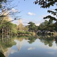 仔猫といっしょ計画（石川２０１７　金沢編）