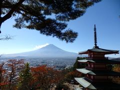 「富士山が観たい！」九州の母娘の二人旅 (JALファーストクラスの体験付き）